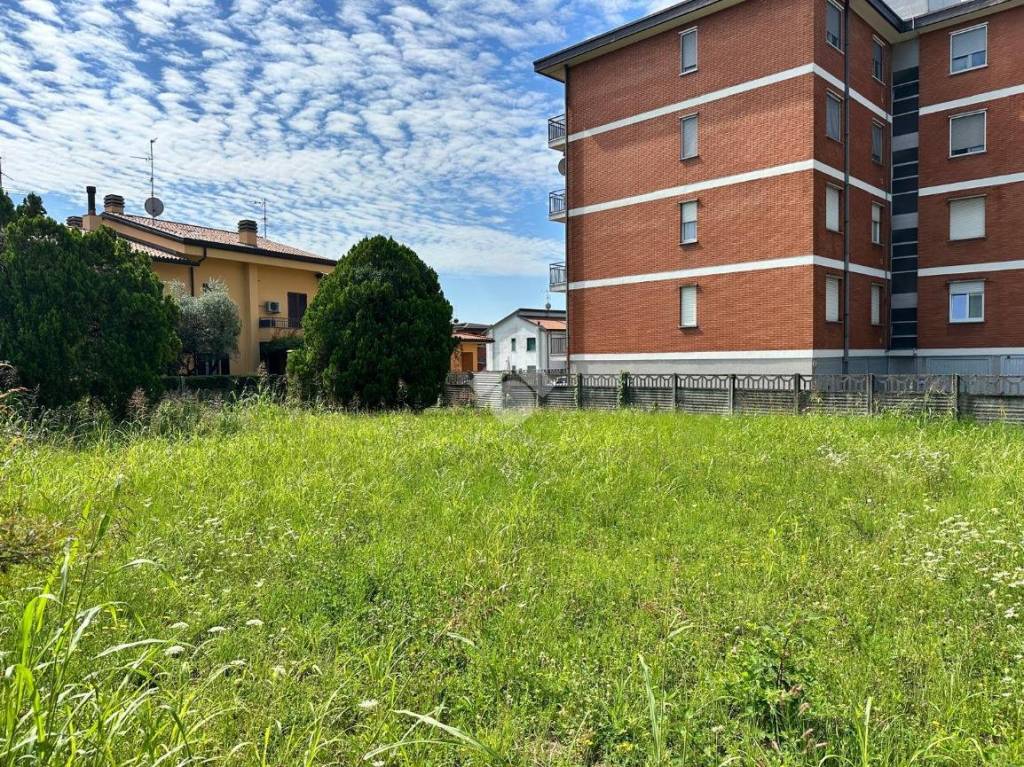 immagine annuncio 1 di 15
