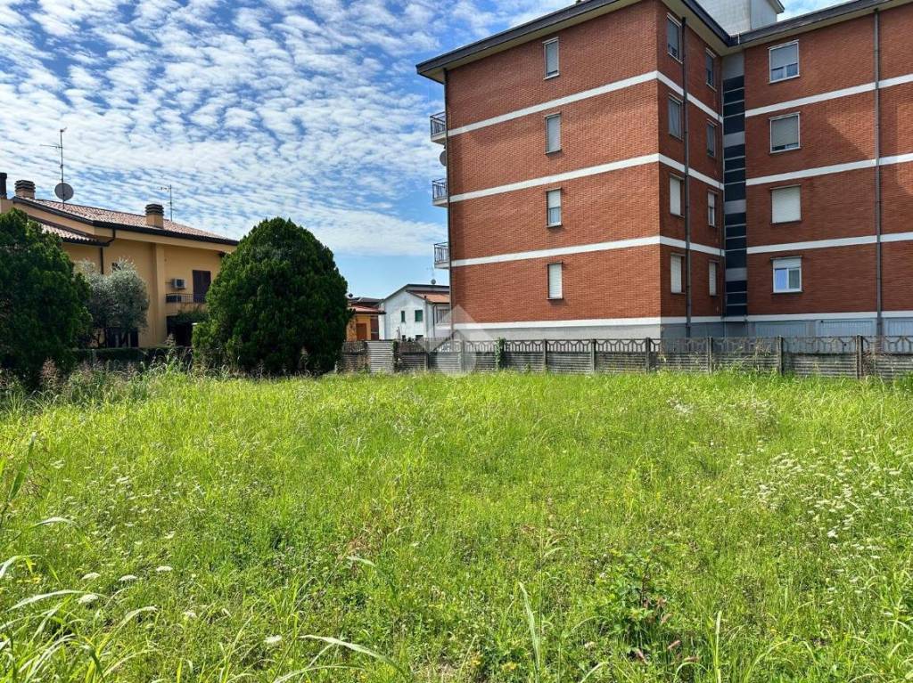 immagine annuncio 6 di 15