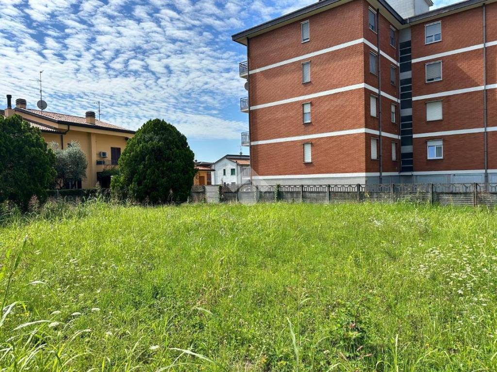 immagine annuncio 9 di 15