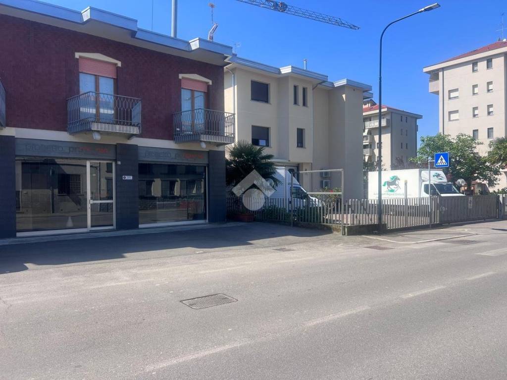 immagine annuncio 7 di 14