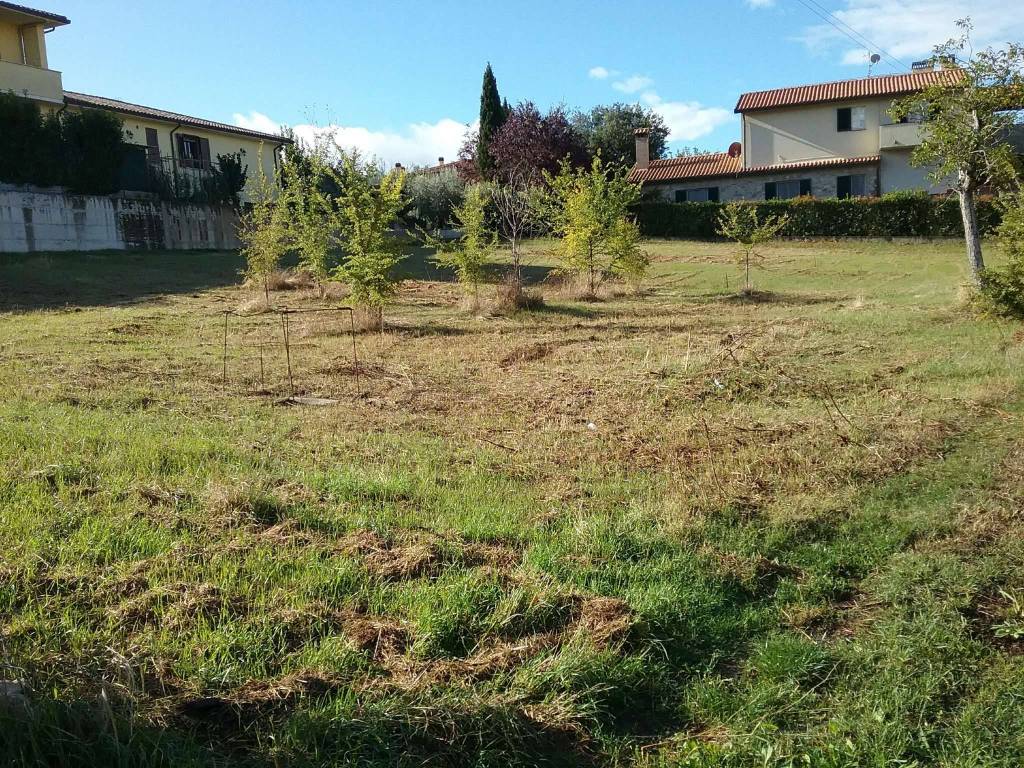 immagine annuncio 4 di 6