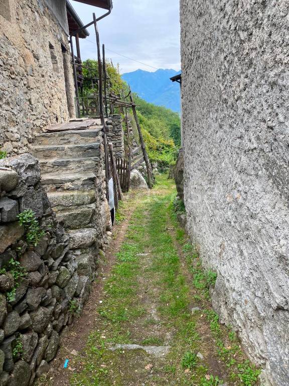 immagine annuncio 5 di 11