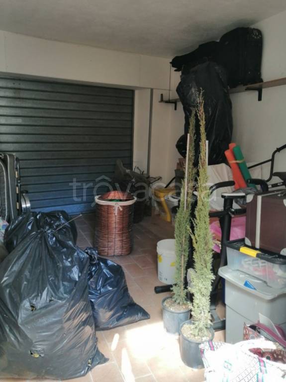 immagine annuncio 4 di 13