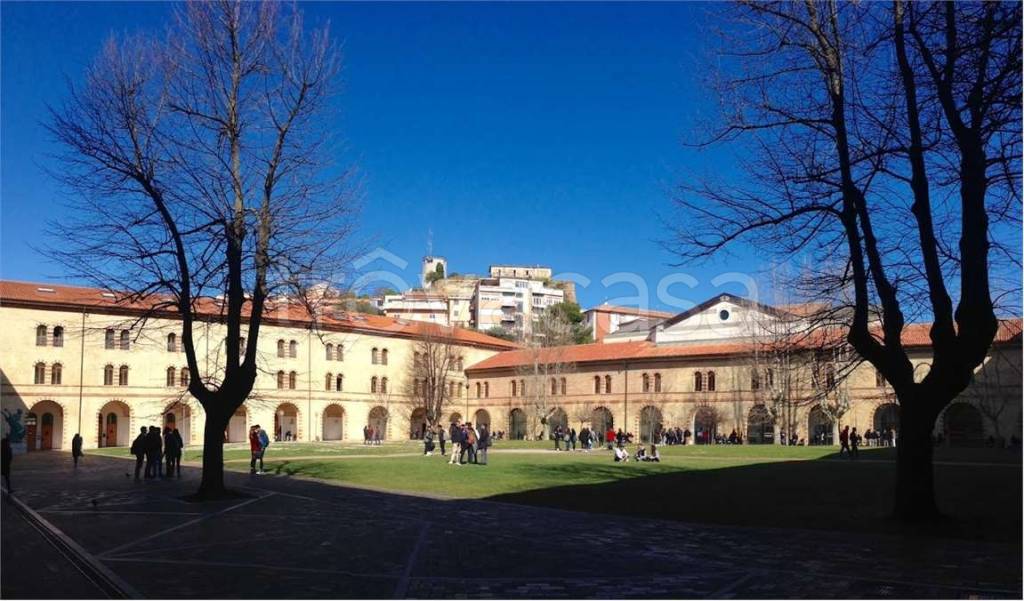 immagine annuncio 7 di 14