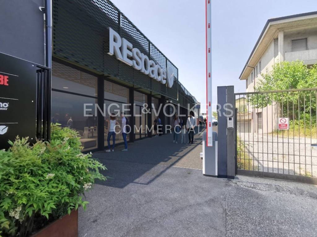 immagine annuncio 3 di 12