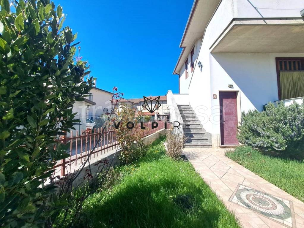 immagine annuncio 1 di 14