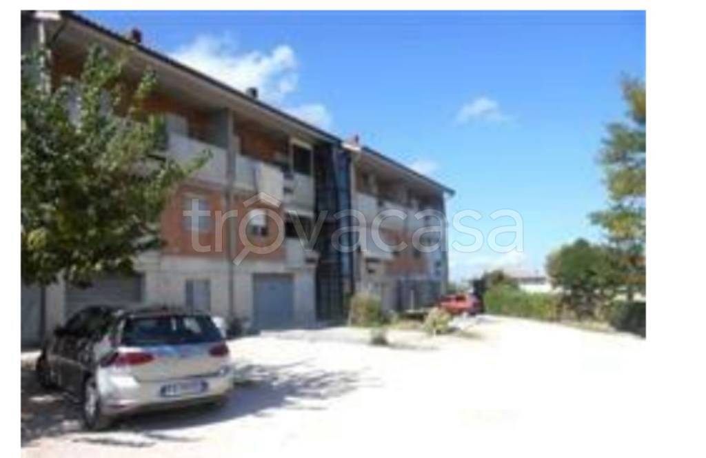 immagine annuncio 2 di 14