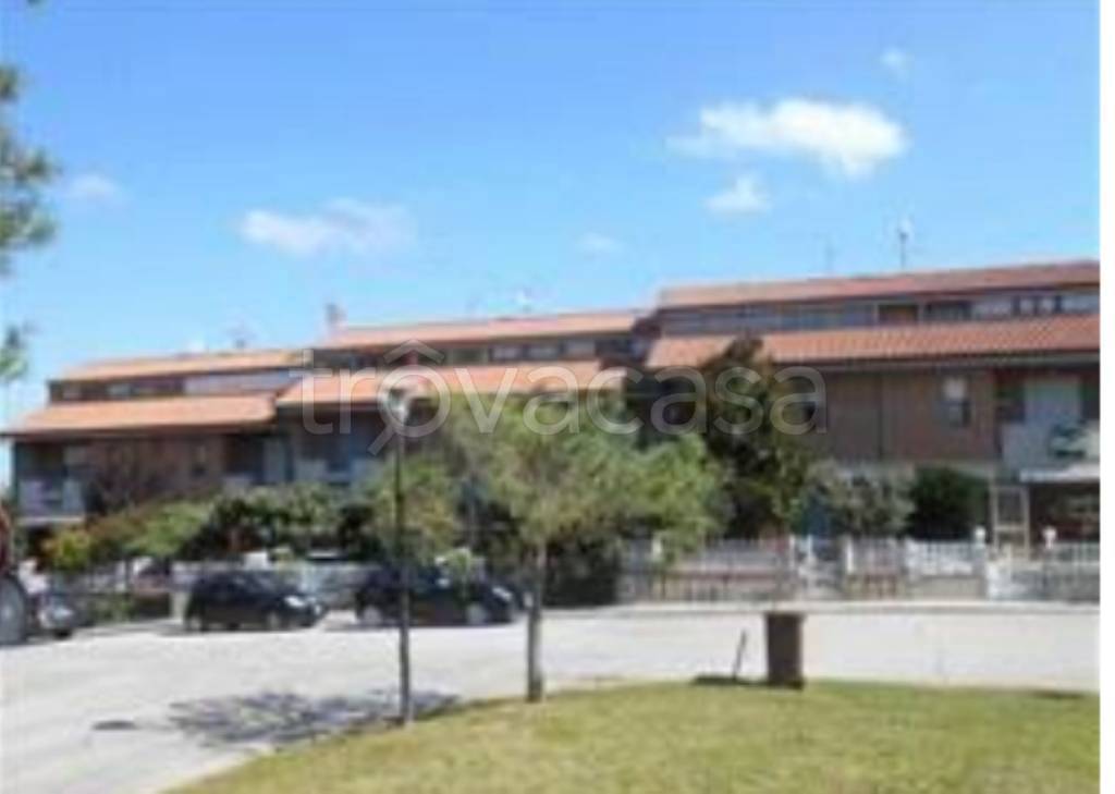 immagine annuncio 6 di 14