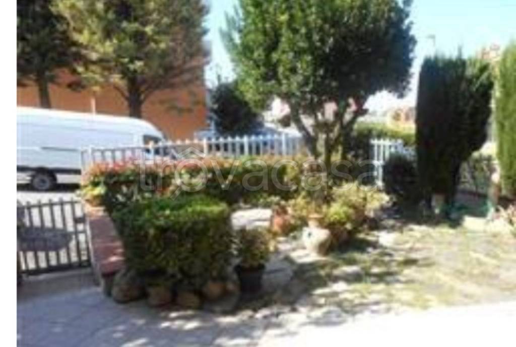 immagine annuncio 8 di 14