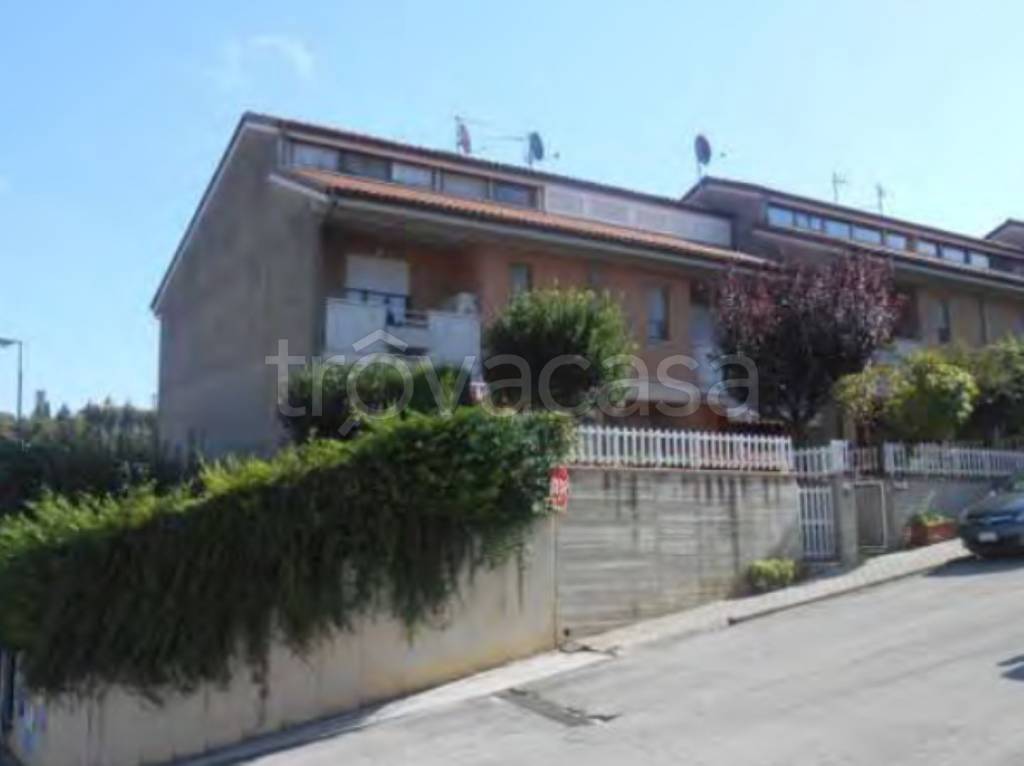 immagine annuncio 9 di 14