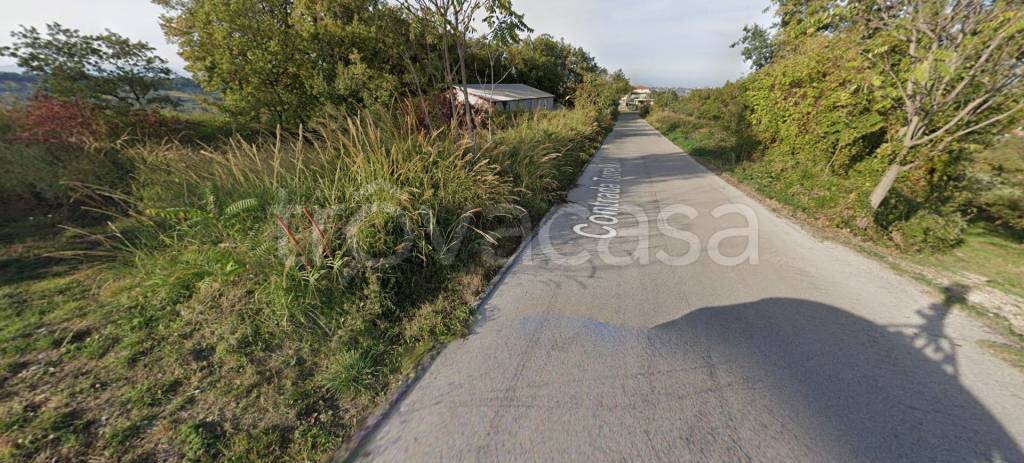 immagine annuncio 3 di 12