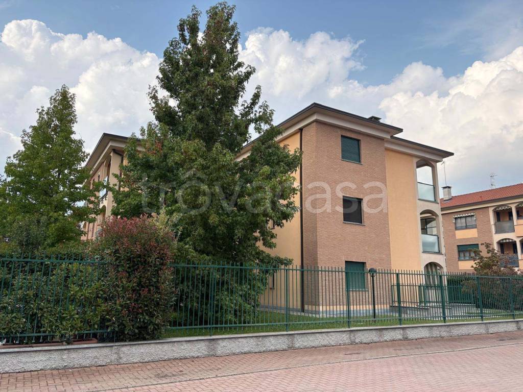 immagine annuncio 4 di 15