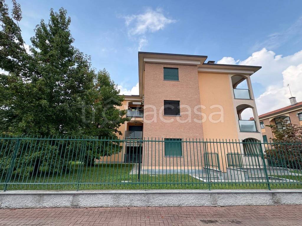 immagine annuncio 5 di 15