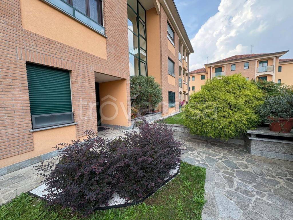 immagine annuncio 7 di 15