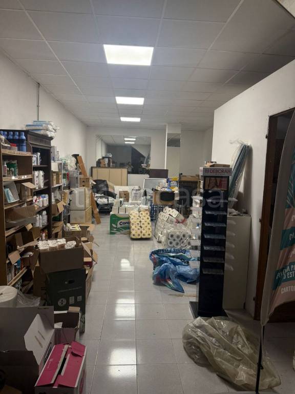immagine annuncio 9 di 12
