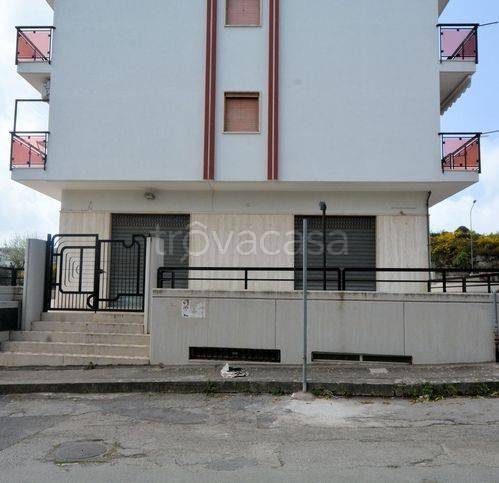 immagine annuncio 6 di 9