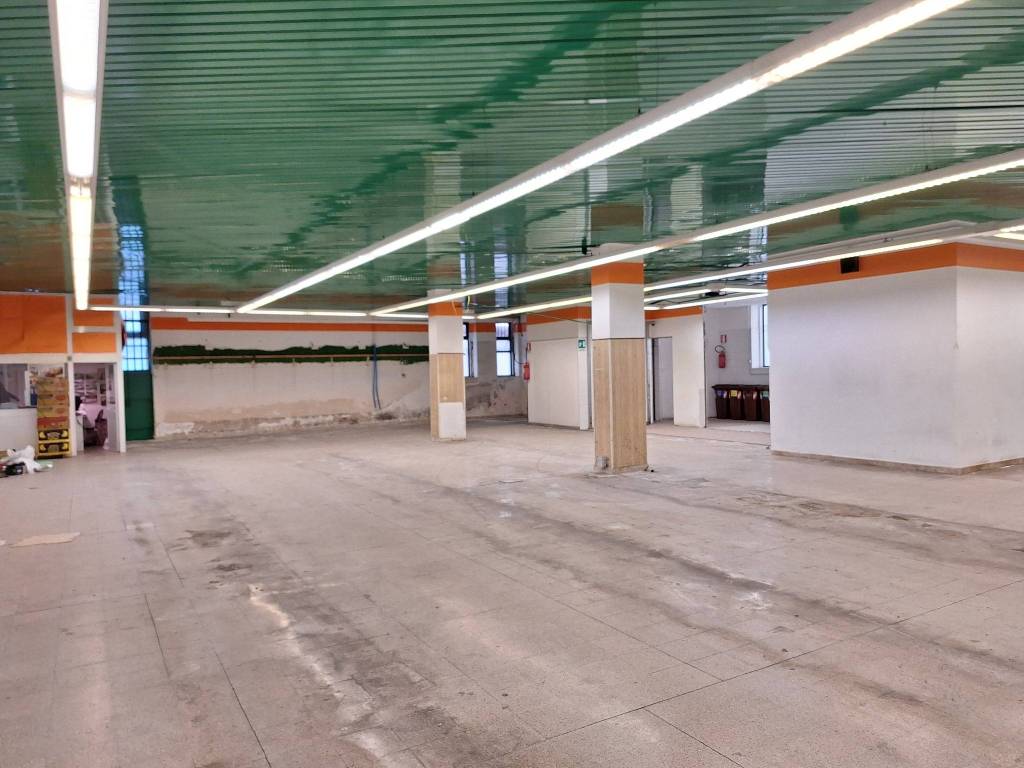 immagine annuncio 1 di 8