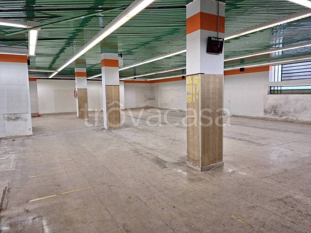 immagine annuncio 5 di 8