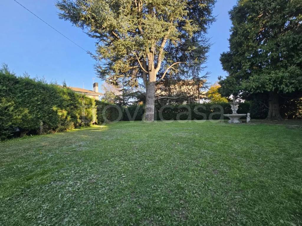 immagine annuncio 2 di 8