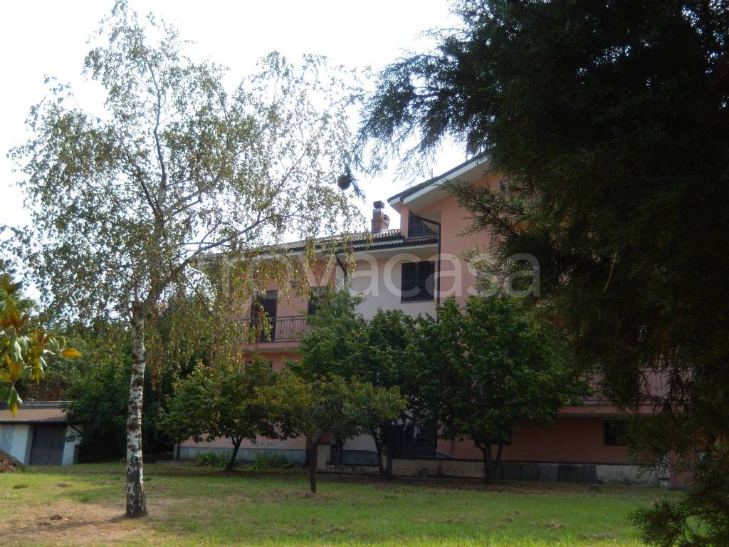 immagine annuncio 7 di 15