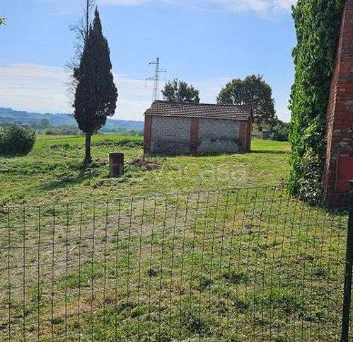 immagine annuncio 10 di 14