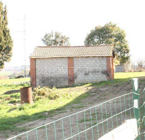 immagine annuncio 2 di 7