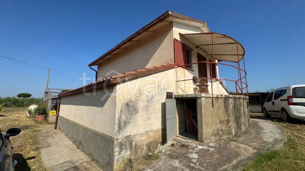 immagine annuncio 3 di 11