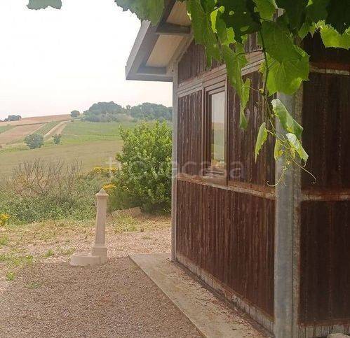 immagine annuncio 8 di 13