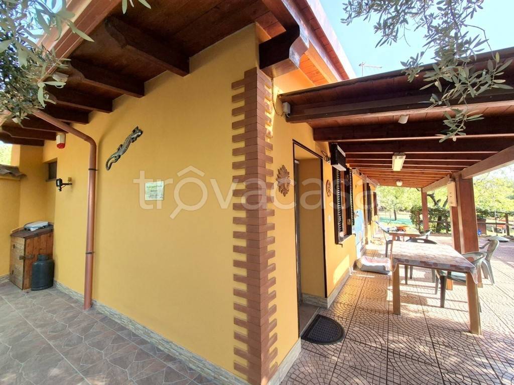 immagine annuncio 2 di 12