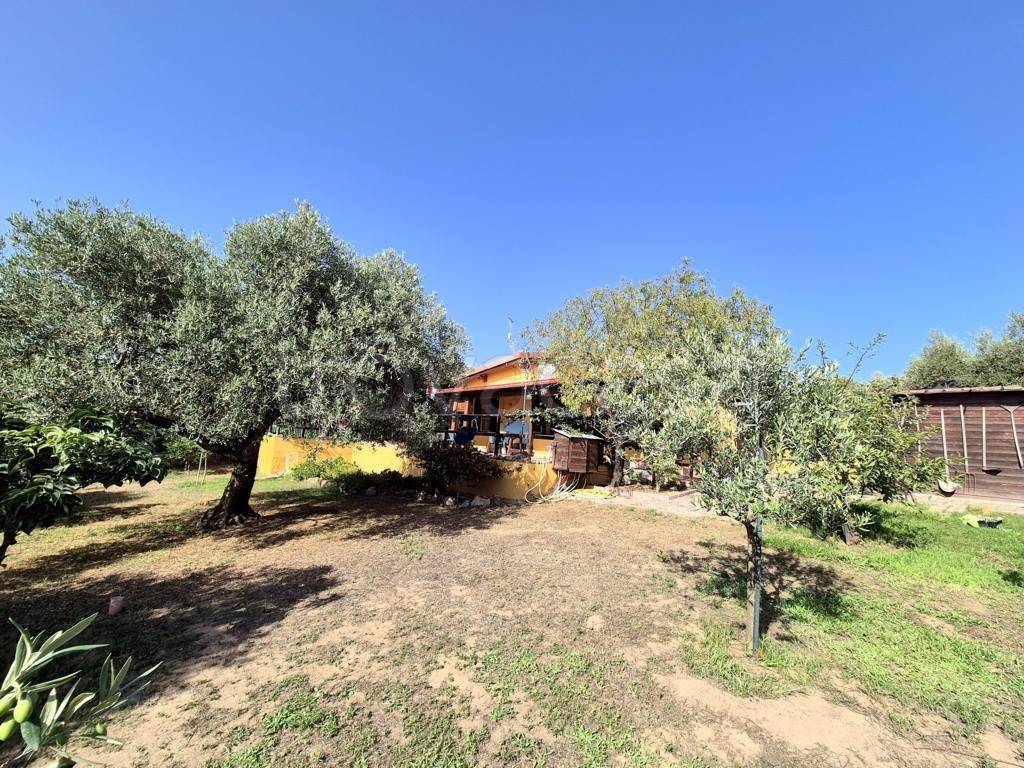 immagine annuncio 5 di 12