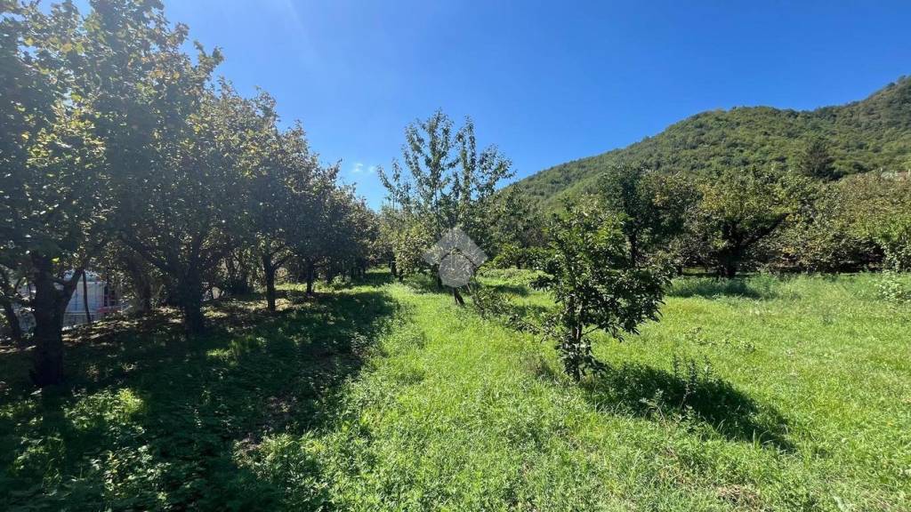 immagine annuncio 5 di 9