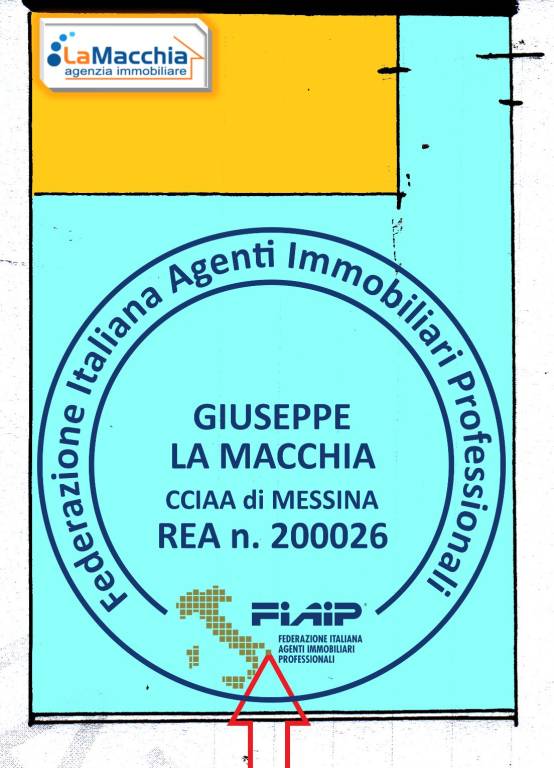 immagine annuncio 12 di 13