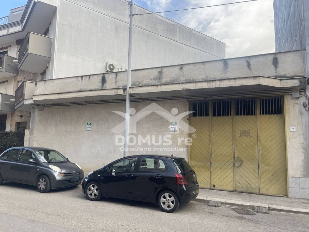 immagine annuncio 1 di 8