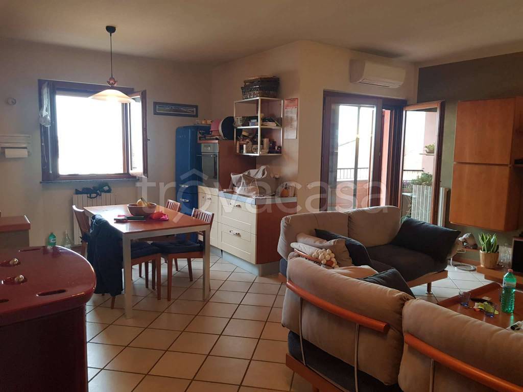 immagine annuncio 9 di 15