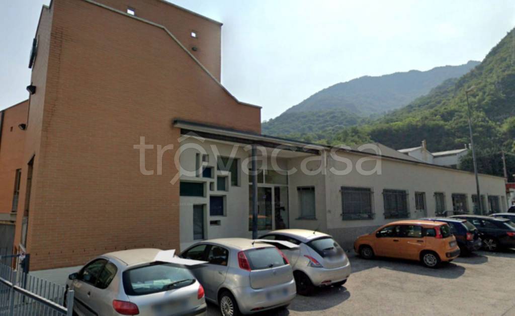 immagine annuncio 1 di 14