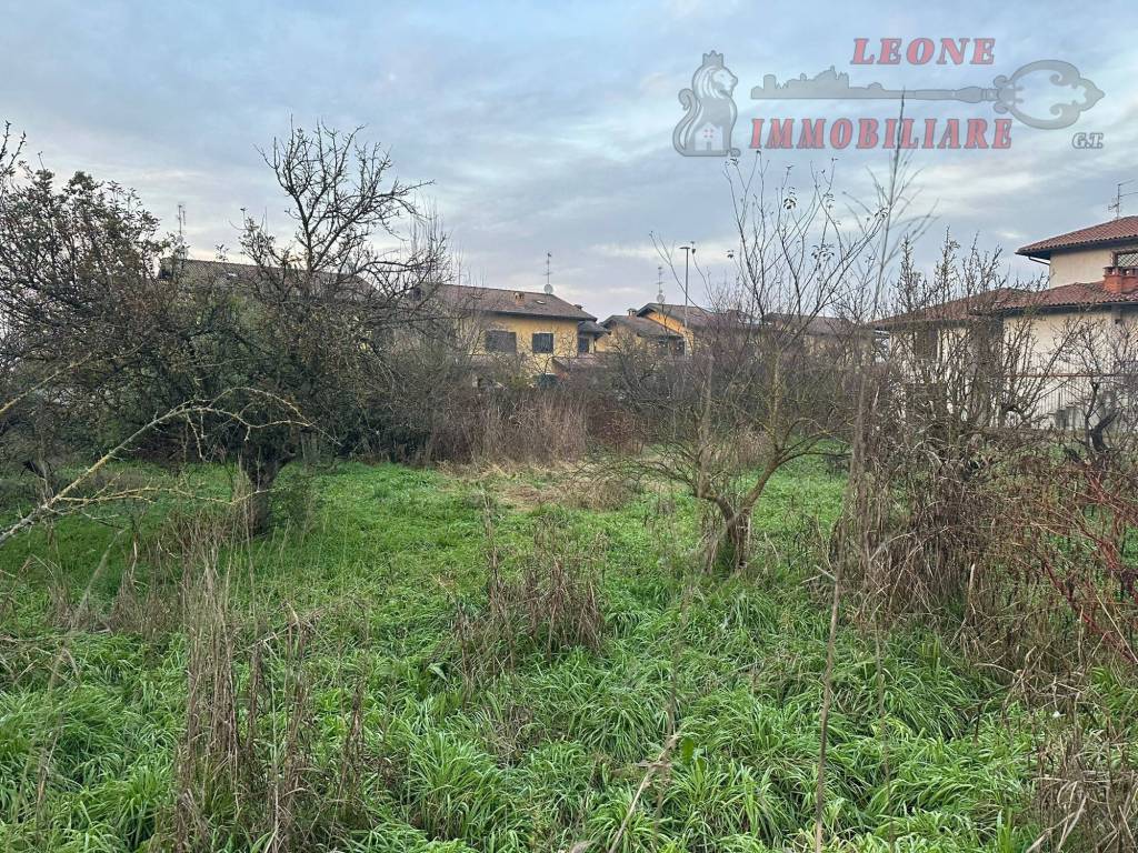 immagine annuncio 14 di 15