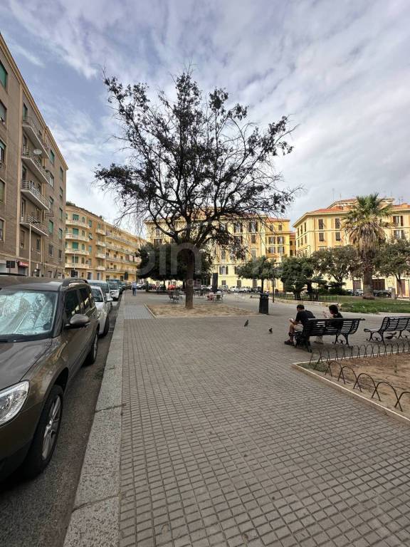immagine annuncio 1 di 8