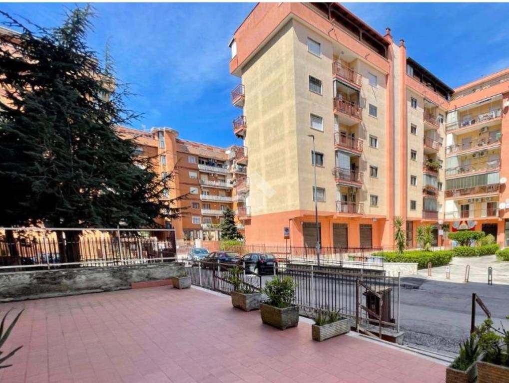 immagine annuncio 1 di 10