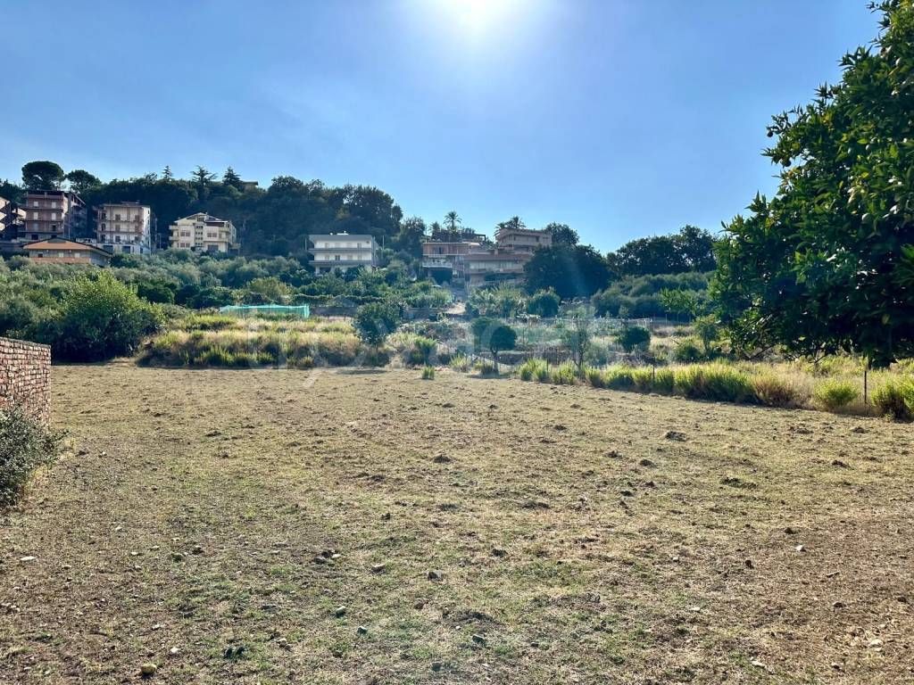immagine annuncio 5 di 6