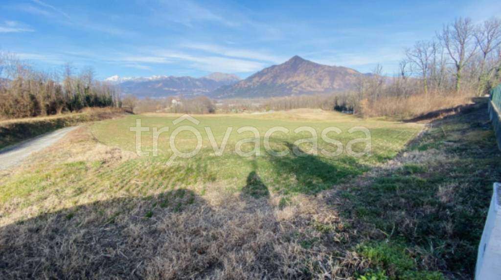 immagine annuncio 2 di 11