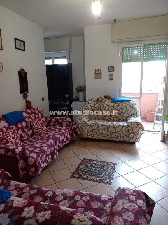 immagine annuncio 12 di 15