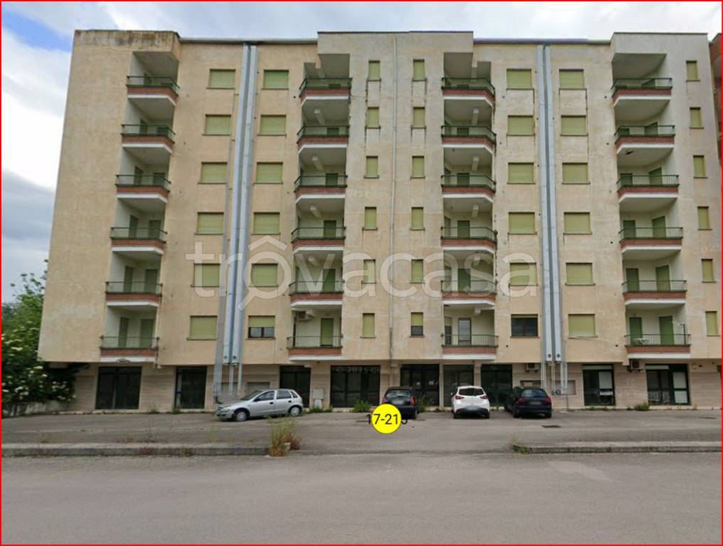 immagine annuncio 5 di 13