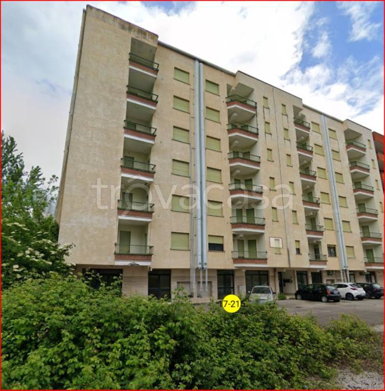 immagine annuncio 5 di 13