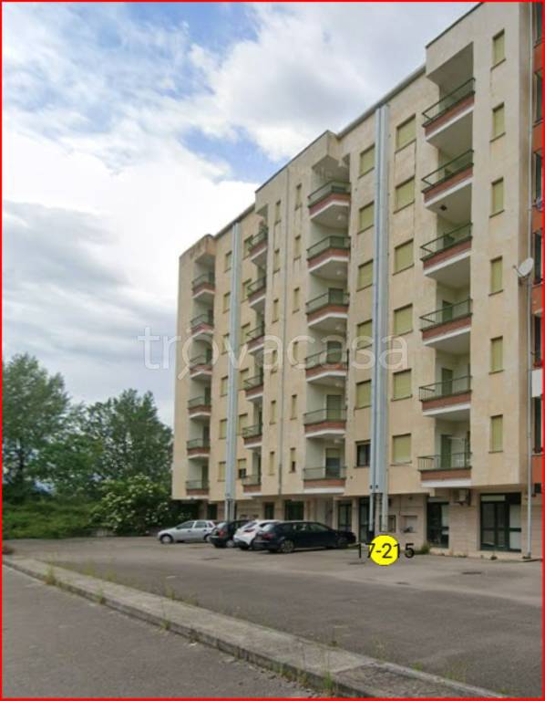 immagine annuncio 6 di 13