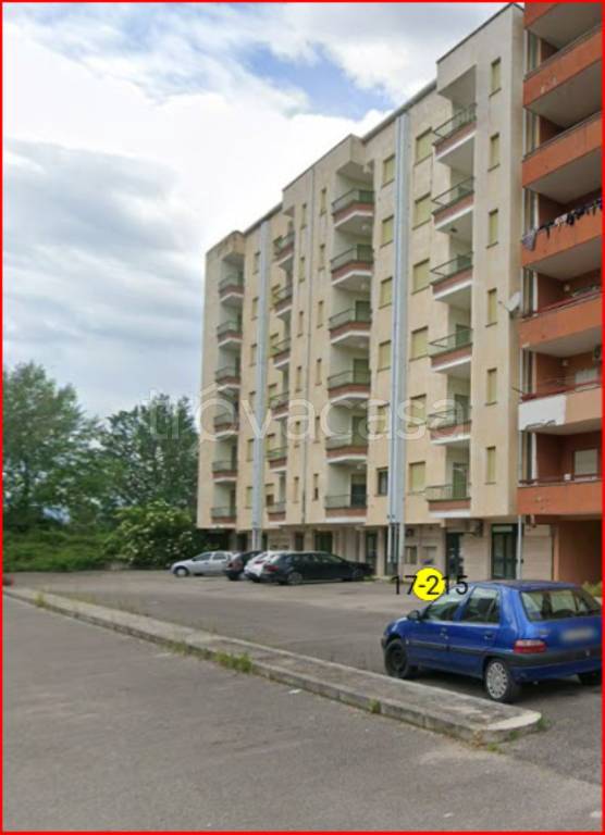 immagine annuncio 10 di 13