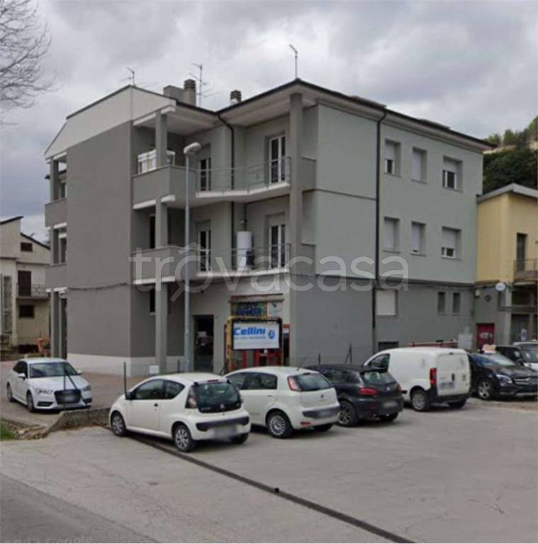 immagine annuncio 5 di 14