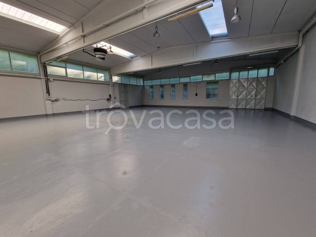 immagine annuncio 5 di 12