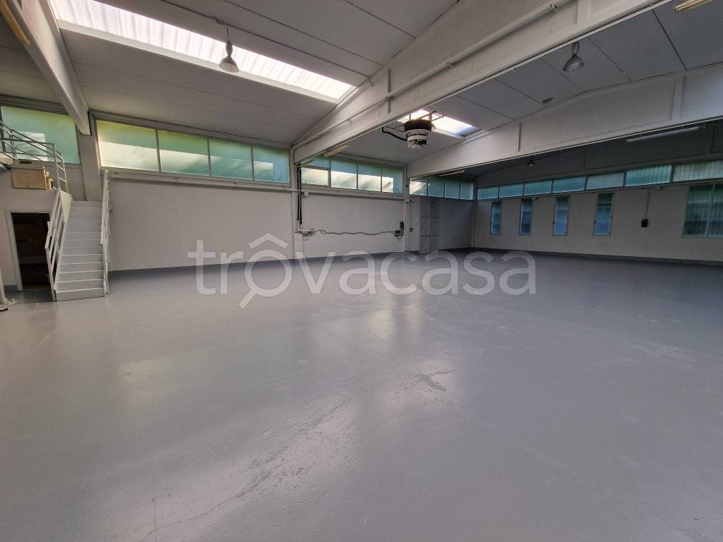 immagine annuncio 2 di 12