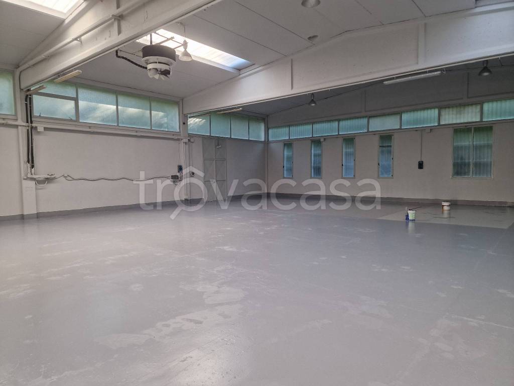 immagine annuncio 6 di 14