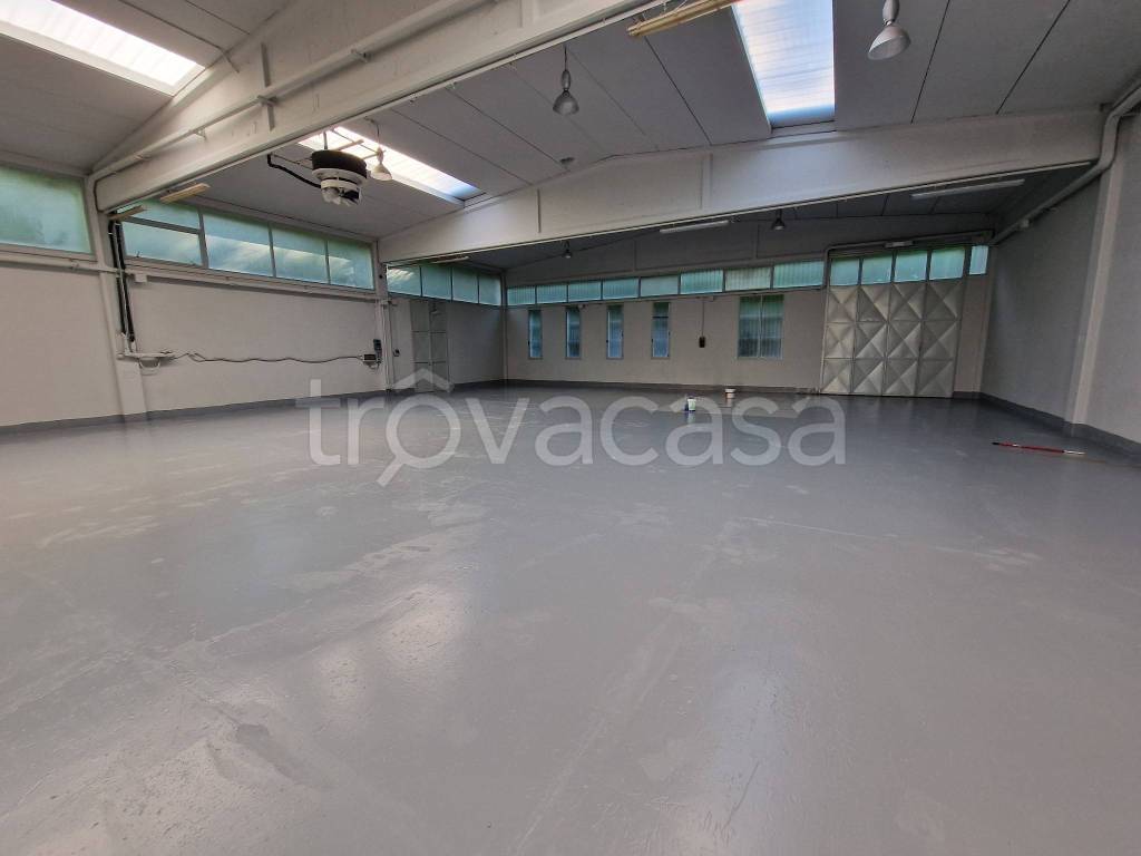 immagine annuncio 3 di 12